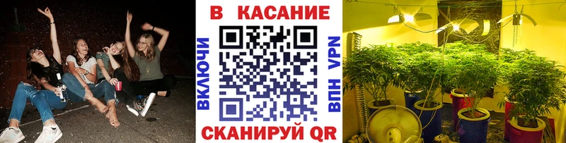 Наркотические вещества Салехард A PVP  МЕФ  ГАШИШ  COCAIN 